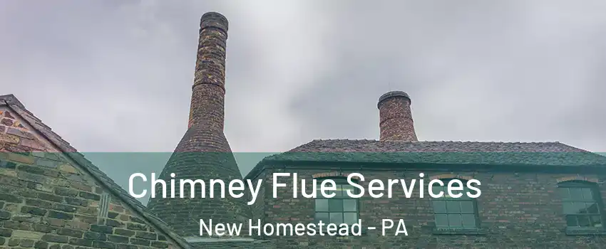 Chimney Flue Services New Homestead - PA