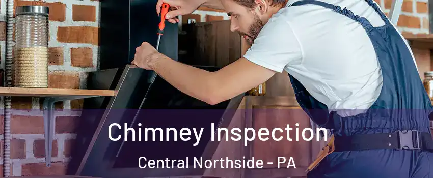 Chimney Inspection Central Northside - PA