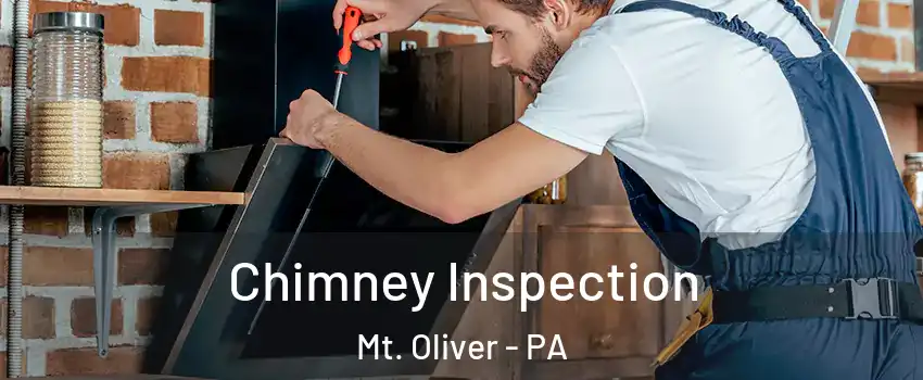 Chimney Inspection Mt. Oliver - PA