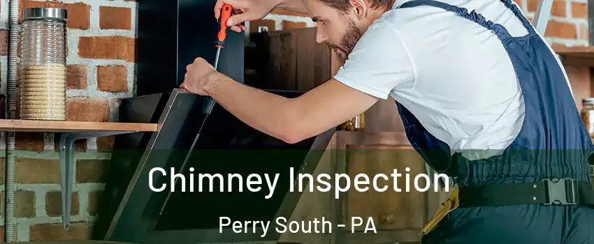 Chimney Inspection Perry South - PA