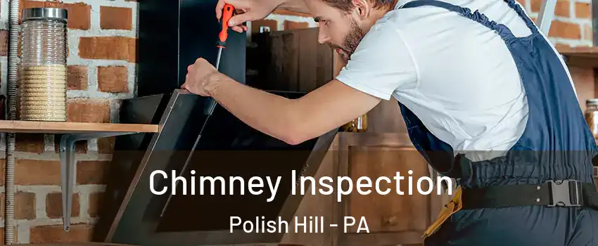 Chimney Inspection Polish Hill - PA