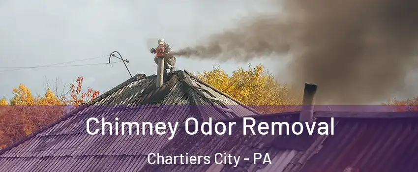 Chimney Odor Removal Chartiers City - PA