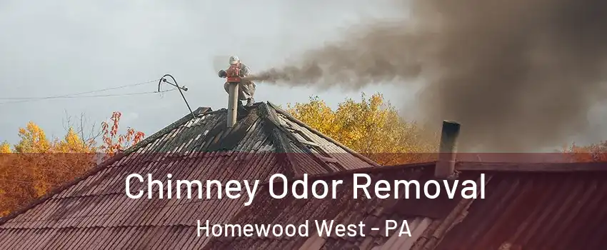 Chimney Odor Removal Homewood West - PA