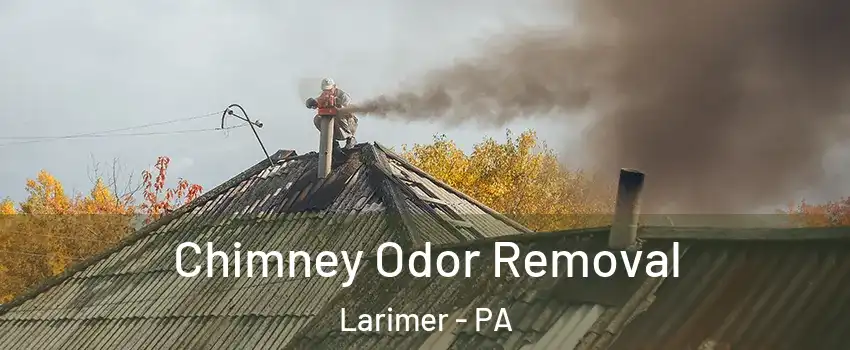 Chimney Odor Removal Larimer - PA