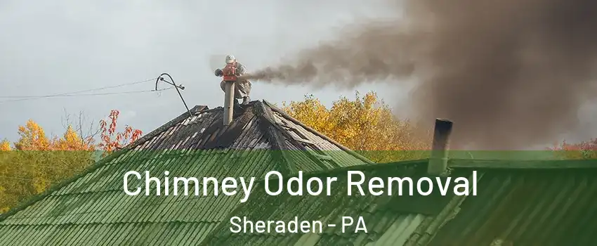 Chimney Odor Removal Sheraden - PA