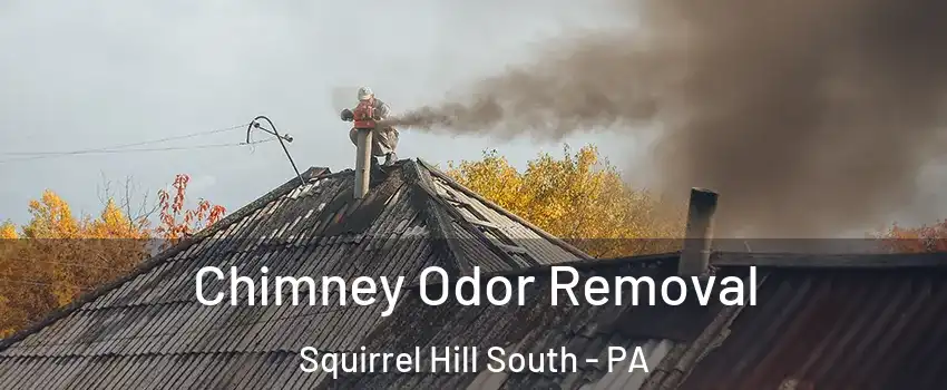 Chimney Odor Removal Squirrel Hill South - PA