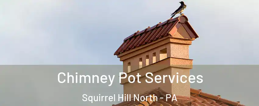 Chimney Pot Services Squirrel Hill North - PA