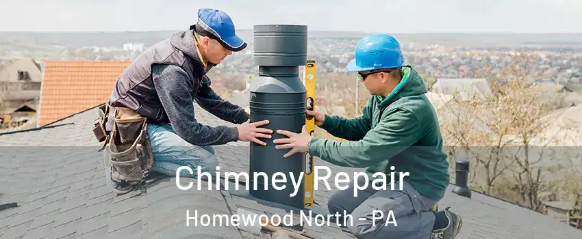 Chimney Repair Homewood North - PA