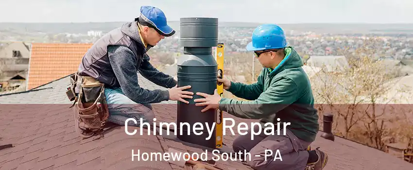 Chimney Repair Homewood South - PA