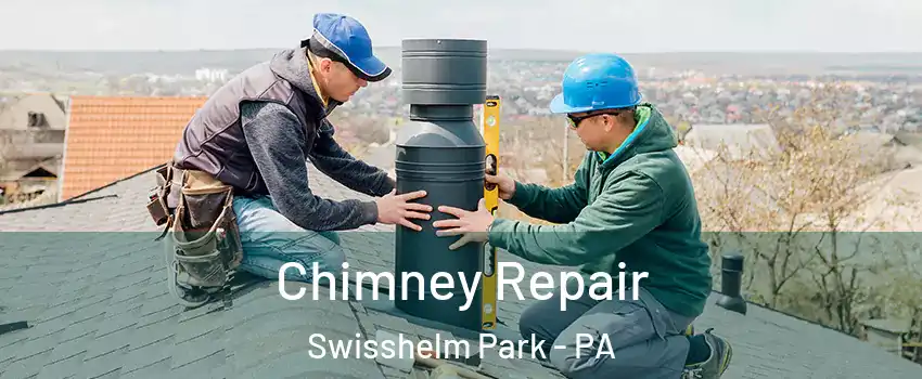 Chimney Repair Swisshelm Park - PA