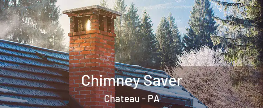 Chimney Saver Chateau - PA