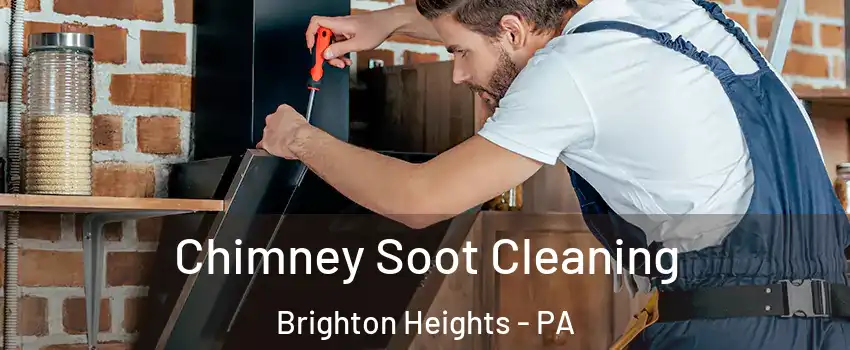 Chimney Soot Cleaning Brighton Heights - PA