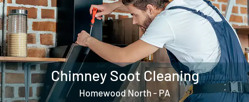 Chimney Soot Cleaning Homewood North - PA