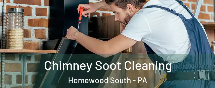 Chimney Soot Cleaning Homewood South - PA