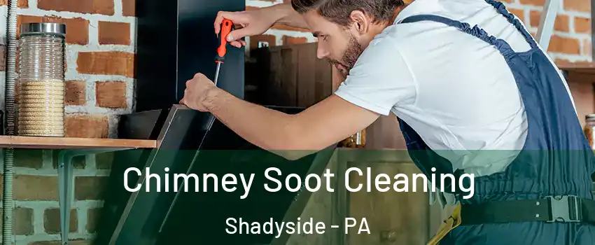 Chimney Soot Cleaning Shadyside - PA