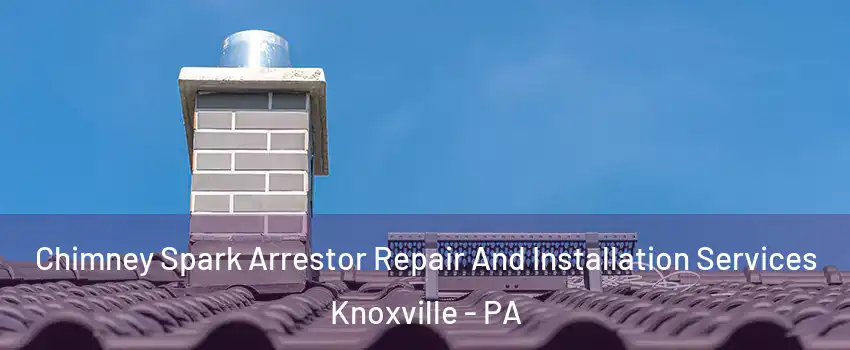 Chimney Spark Arrestor Repair And Installation Services Knoxville - PA