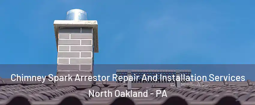 Chimney Spark Arrestor Repair And Installation Services North Oakland - PA