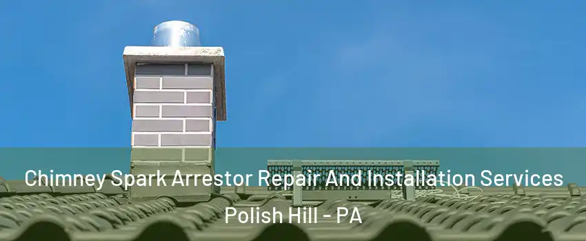 Chimney Spark Arrestor Repair And Installation Services Polish Hill - PA