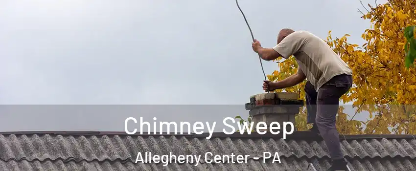 Chimney Sweep Allegheny Center - PA