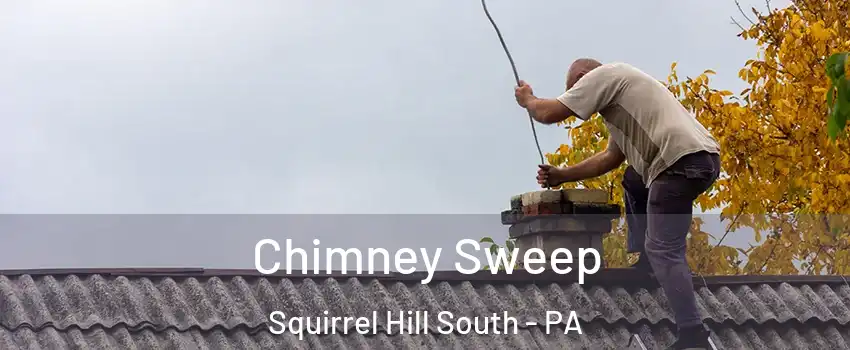 Chimney Sweep Squirrel Hill South - PA