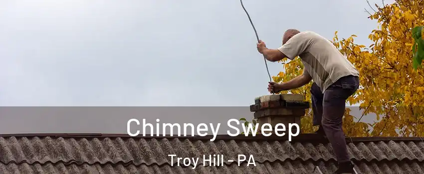 Chimney Sweep Troy Hill - PA