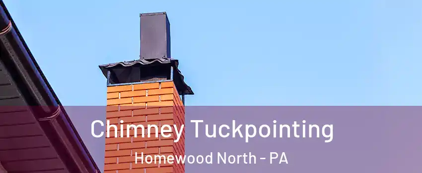 Chimney Tuckpointing Homewood North - PA