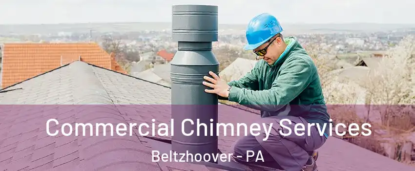 Commercial Chimney Services Beltzhoover - PA