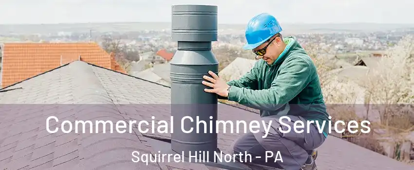 Commercial Chimney Services Squirrel Hill North - PA