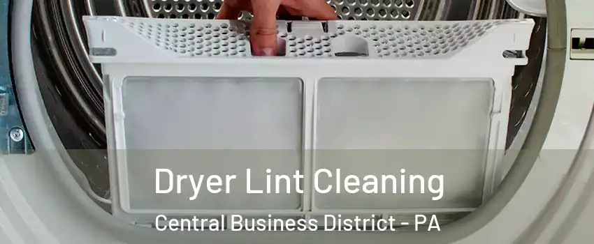 Dryer Lint Cleaning Central Business District - PA