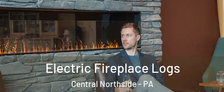 Electric Fireplace Logs Central Northside - PA