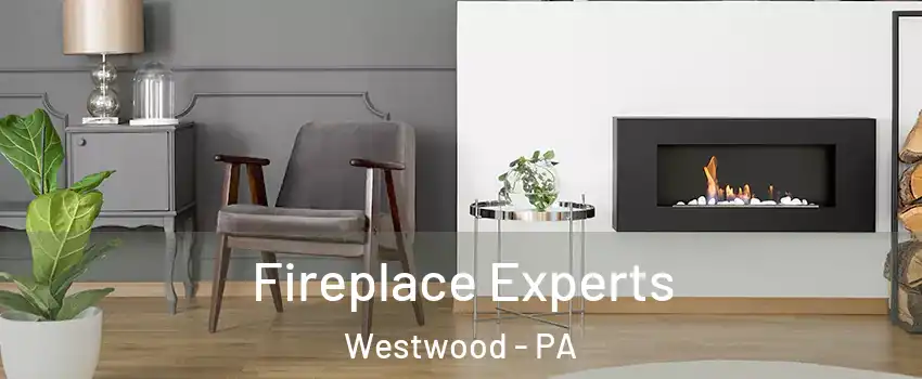 Fireplace Experts Westwood - PA