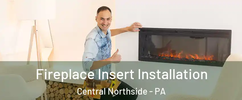 Fireplace Insert Installation Central Northside - PA