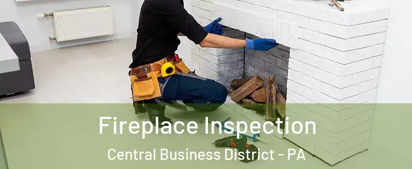 Fireplace Inspection Central Business District - PA