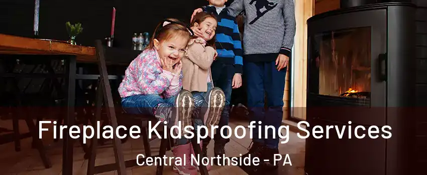 Fireplace Kidsproofing Services Central Northside - PA