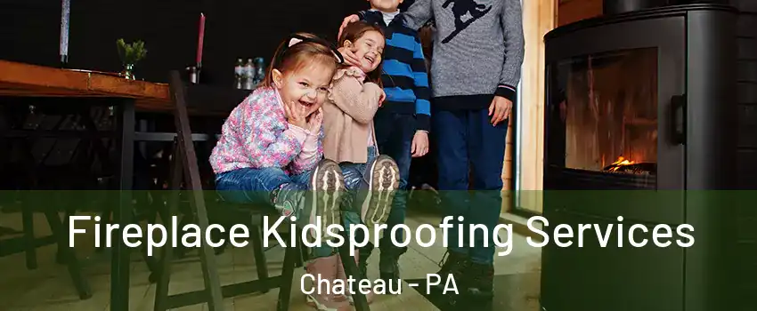 Fireplace Kidsproofing Services Chateau - PA