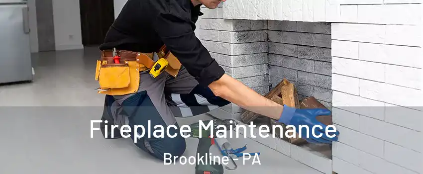 Fireplace Maintenance Brookline - PA