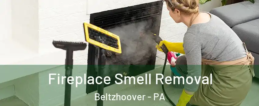 Fireplace Smell Removal Beltzhoover - PA