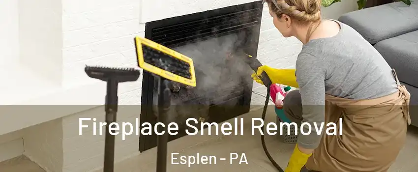 Fireplace Smell Removal Esplen - PA