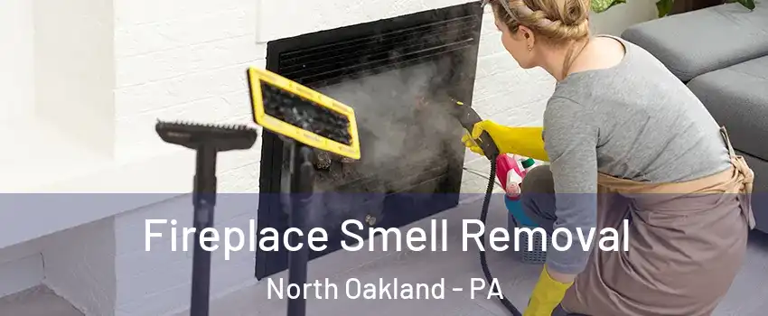 Fireplace Smell Removal North Oakland - PA