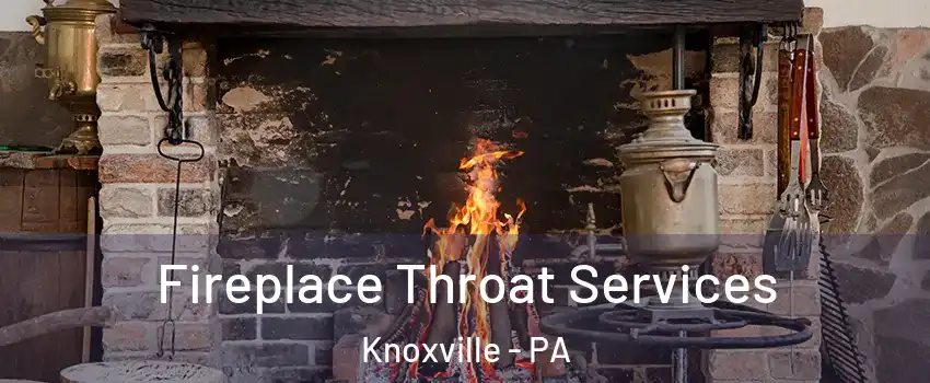 Fireplace Throat Services Knoxville - PA