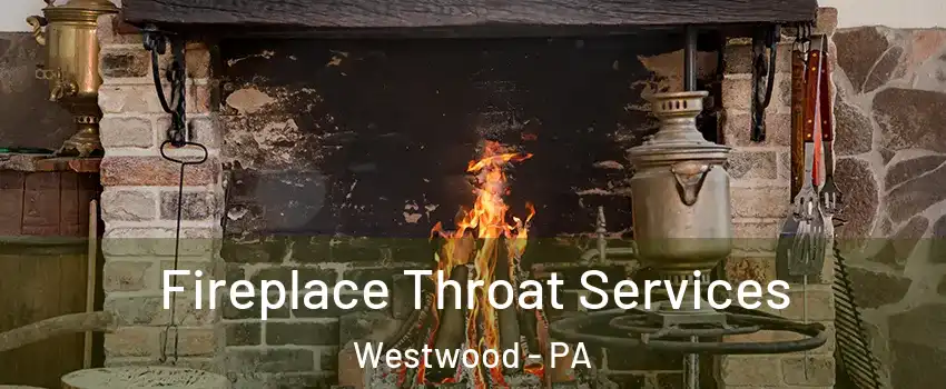 Fireplace Throat Services Westwood - PA