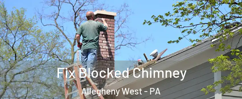 Fix Blocked Chimney Allegheny West - PA