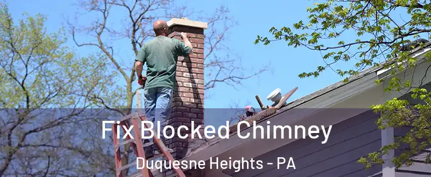 Fix Blocked Chimney Duquesne Heights - PA