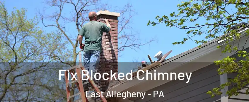 Fix Blocked Chimney East Allegheny - PA