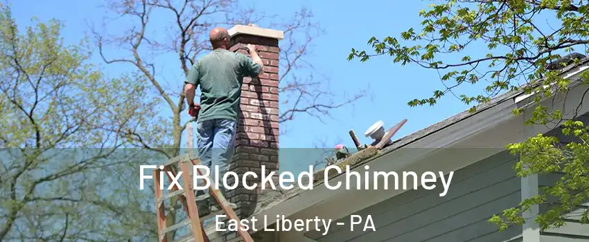 Fix Blocked Chimney East Liberty - PA