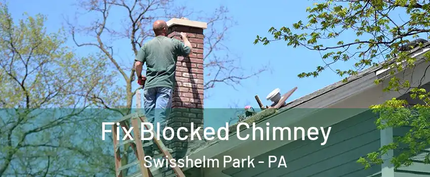 Fix Blocked Chimney Swisshelm Park - PA