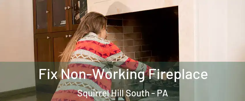 Fix Non-Working Fireplace Squirrel Hill South - PA