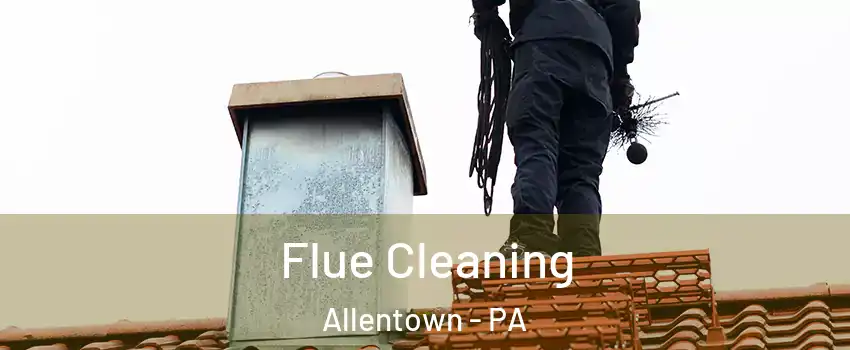 Flue Cleaning Allentown - PA