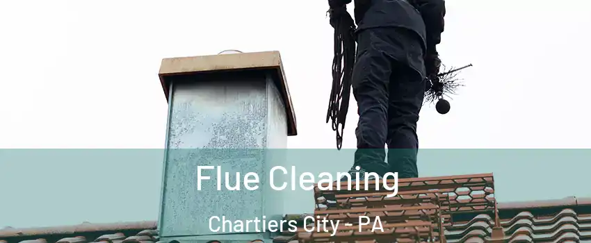 Flue Cleaning Chartiers City - PA