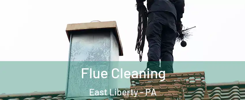 Flue Cleaning East Liberty - PA